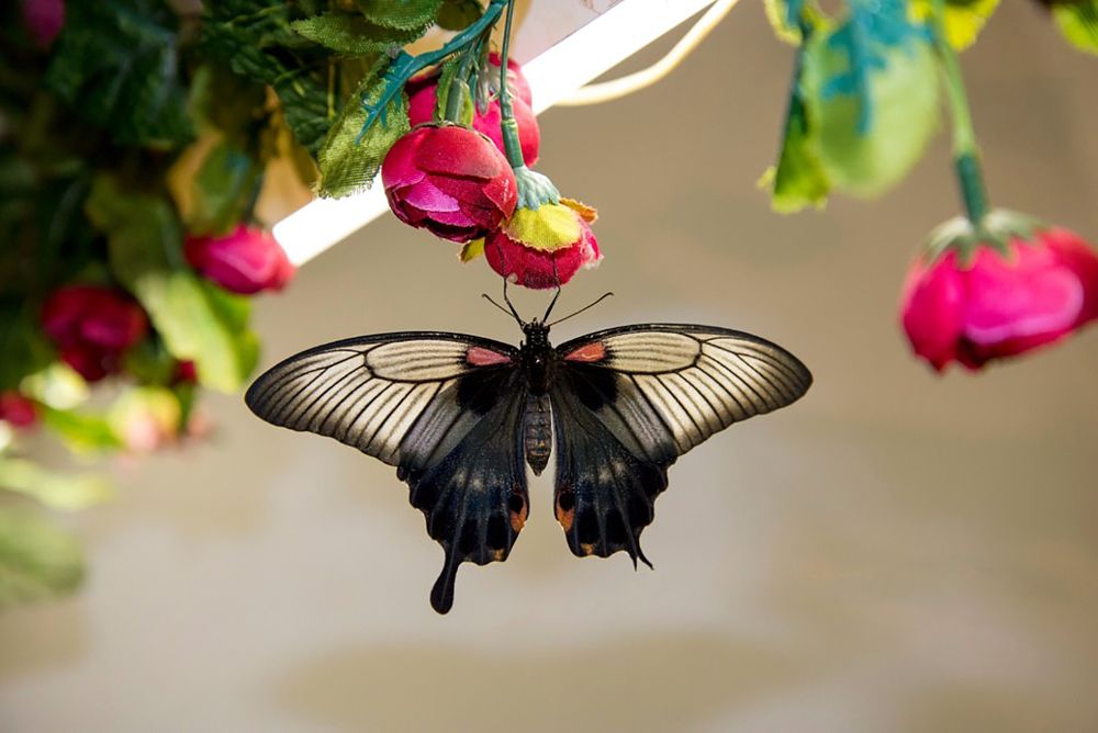 Photograph by Маргарита Матвеенкова