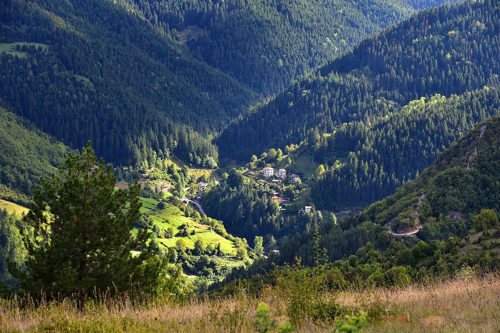 Photograph by Валерий Кондратцев