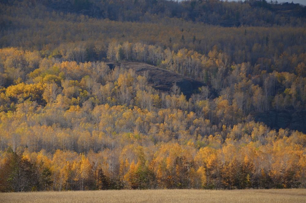Photograph by Ольга Айдагулова