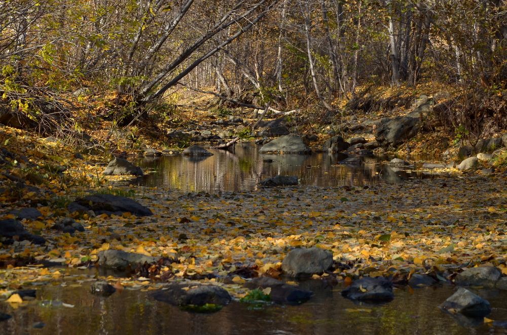 Photograph by Ольга Айдагулова