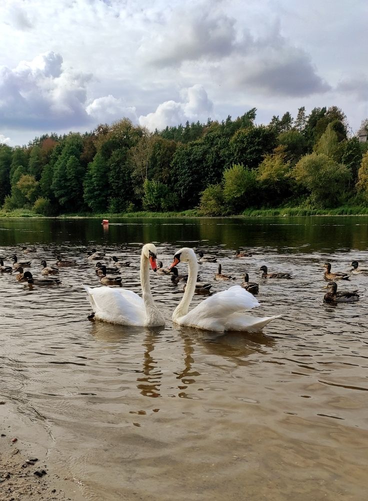 Photograph by Мария Прокопенко