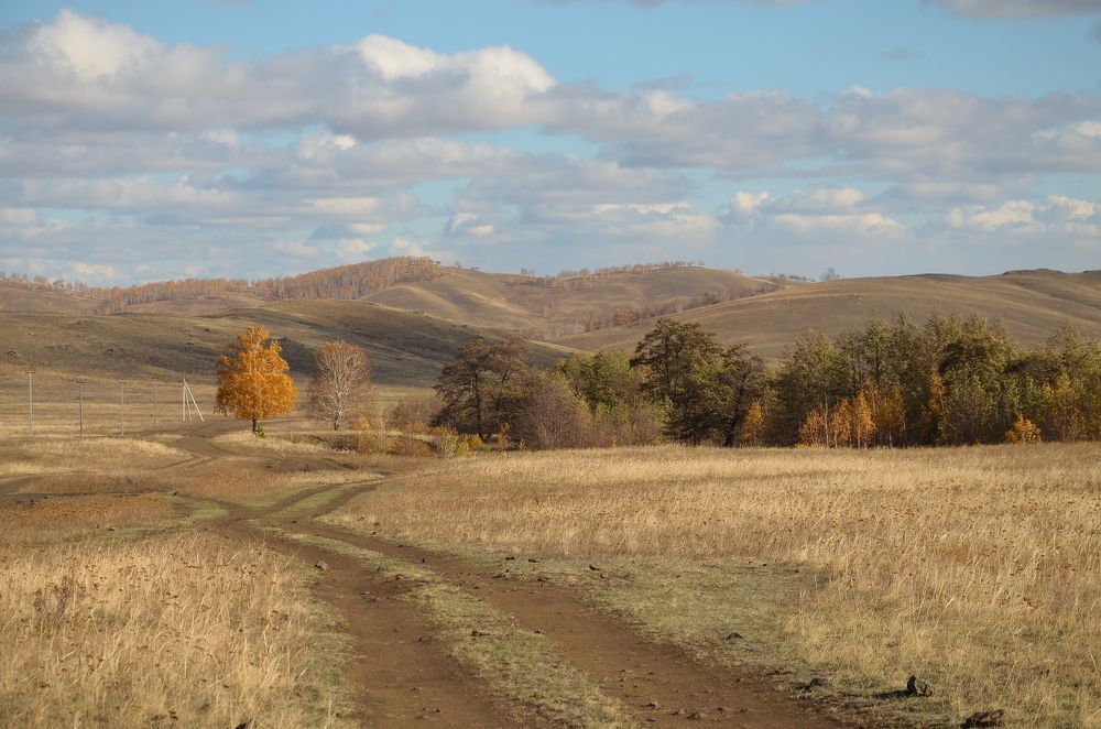 Photograph by Ольга Айдагулова