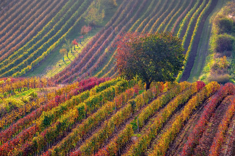 Photograph by Геннадий