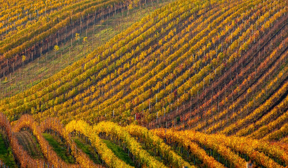 Photograph by Геннадий