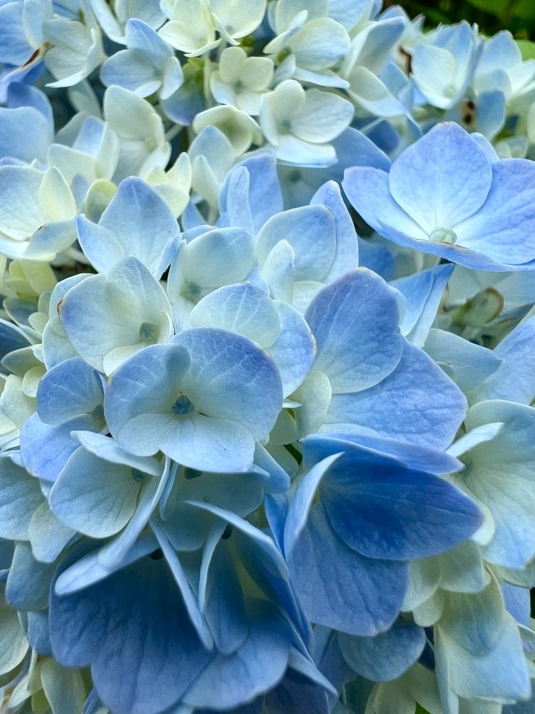 Photograph by Ольга Сизонюк