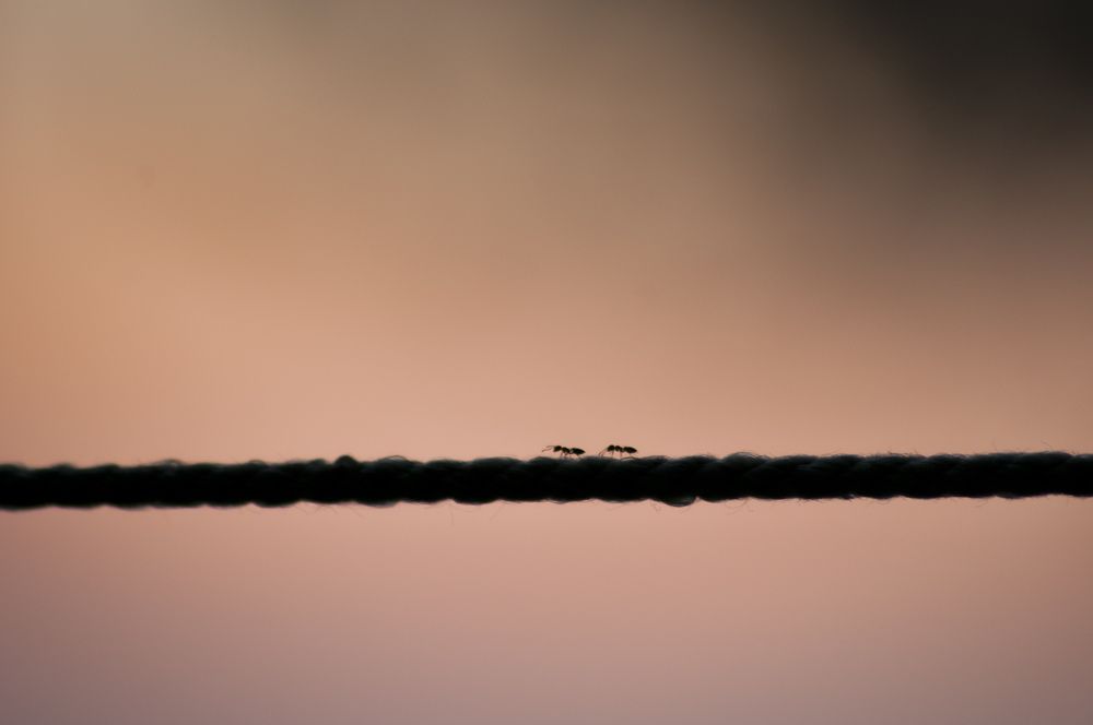 Photograph by Дерезюк Юрий Александрович