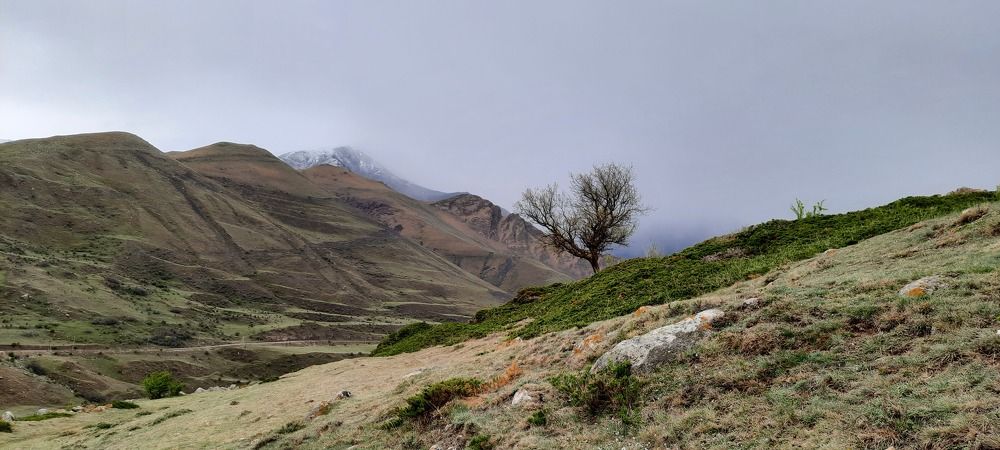 Одиночество