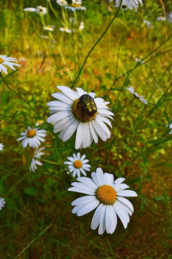 Photograph by Андрей Москалев