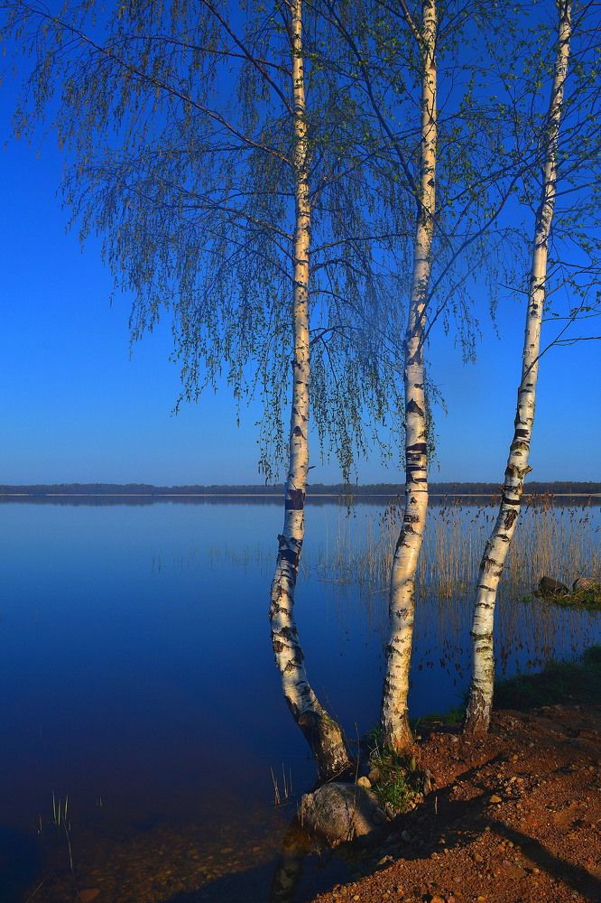 Photograph by Андрей Москалев