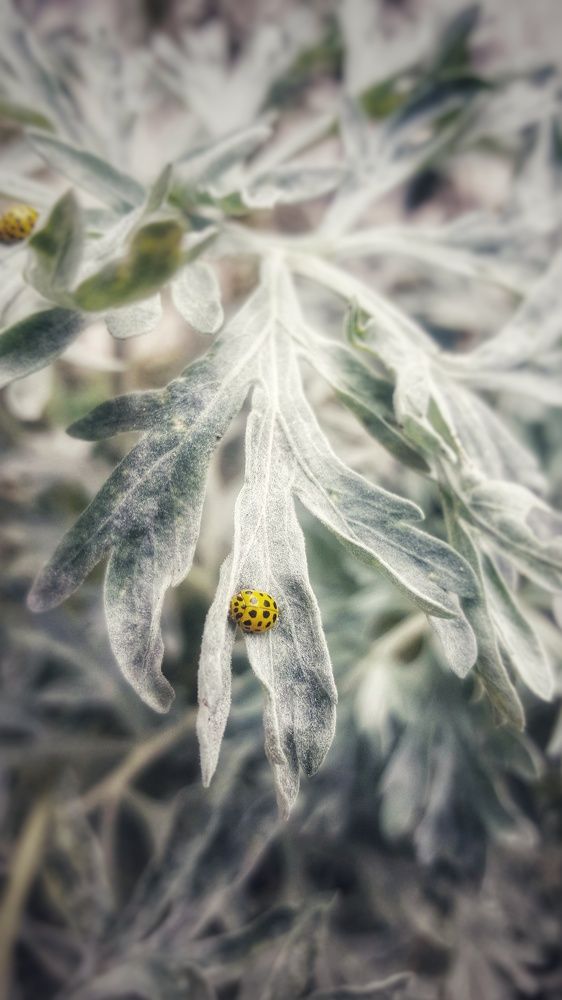 Photograph by Митюшкова Алёна