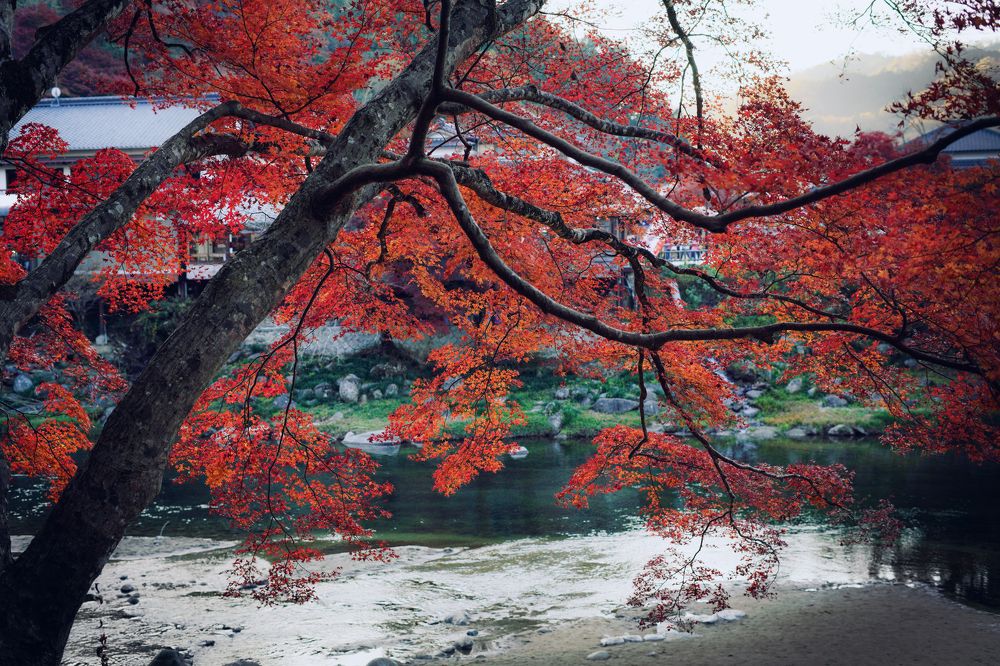 Photograph by AHMAD AL-HADDAD