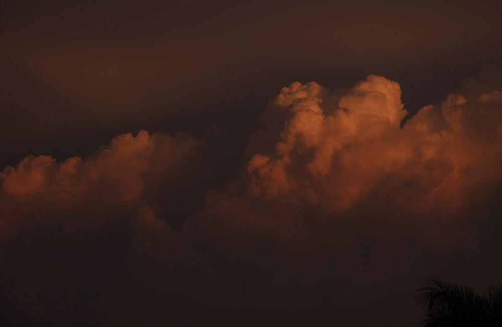 Photograph by Sandra Zerquera Monterde