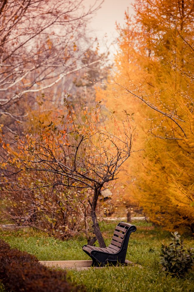 Photograph by Николай Чухрай