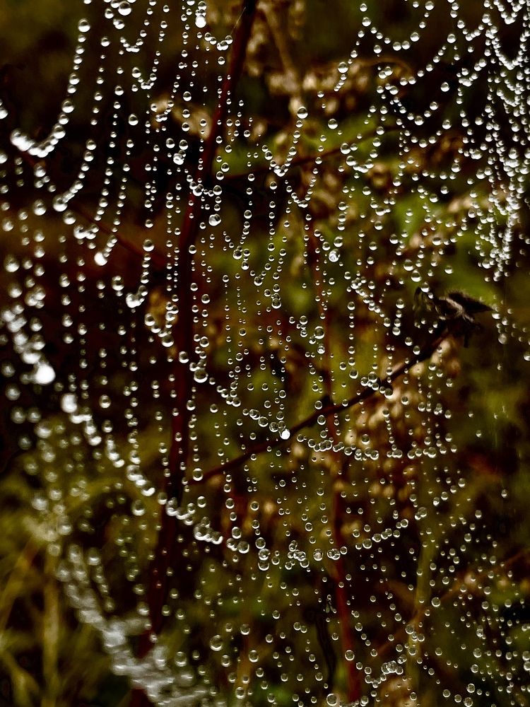 Photograph by Анастасия Борисова