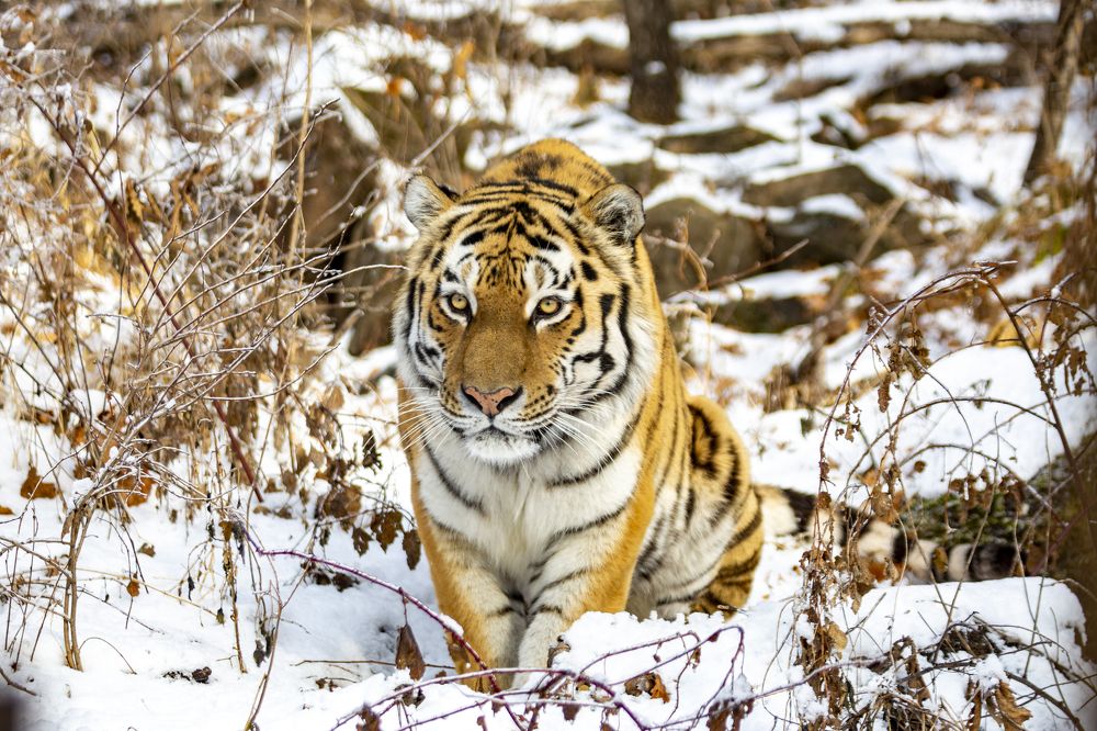 Photograph by Андрей Михайлов