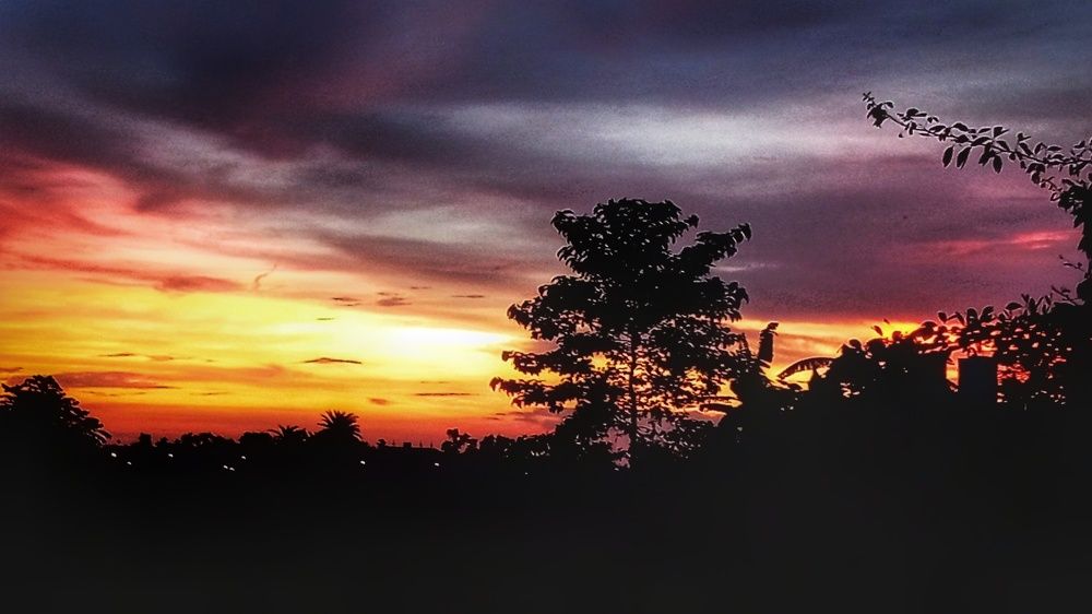Photograph by Ayan Mondal