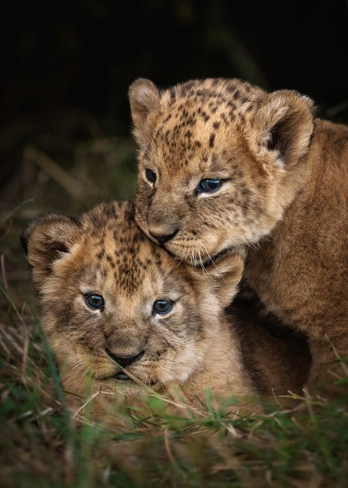 Photograph by Merche Llobera