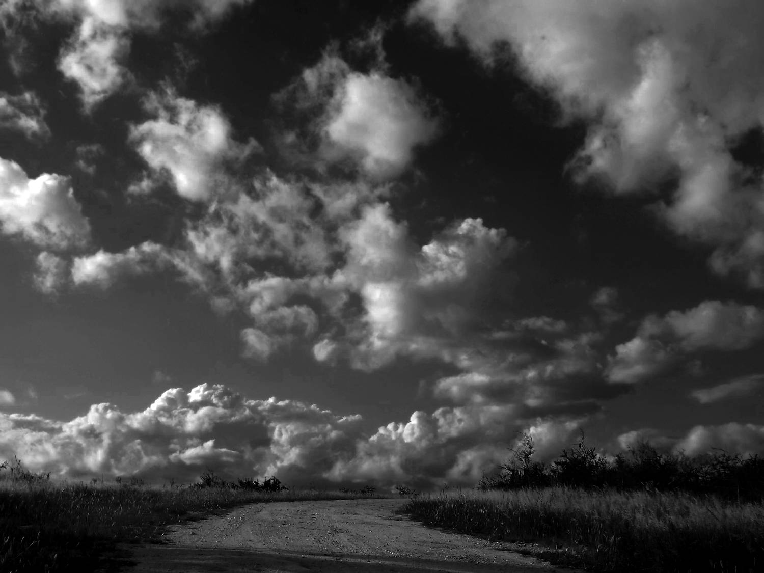 Nubes