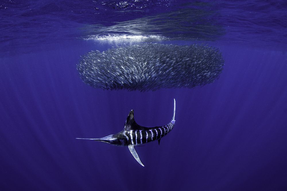 Photograph by Merche Llobera