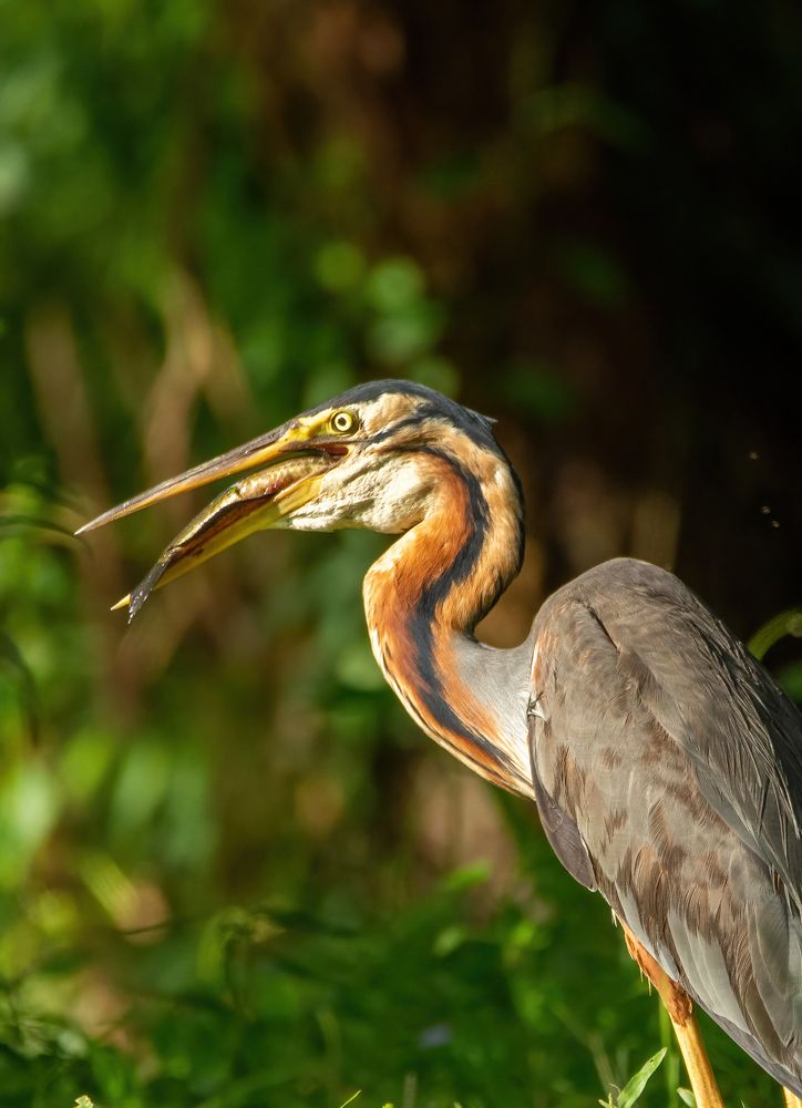Photograph by Yuganthan Nallusamy