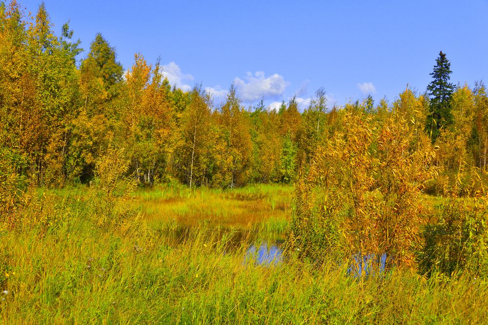 Photograph by БОРИС АНТОНОВ