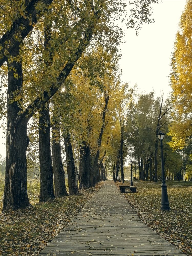 Photograph by Ольга Барковская