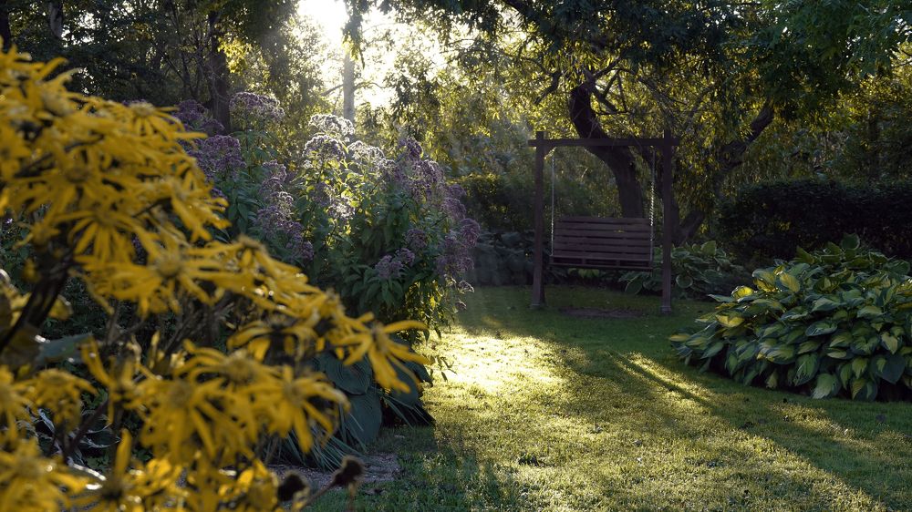 Photograph by Андрей Щербинин