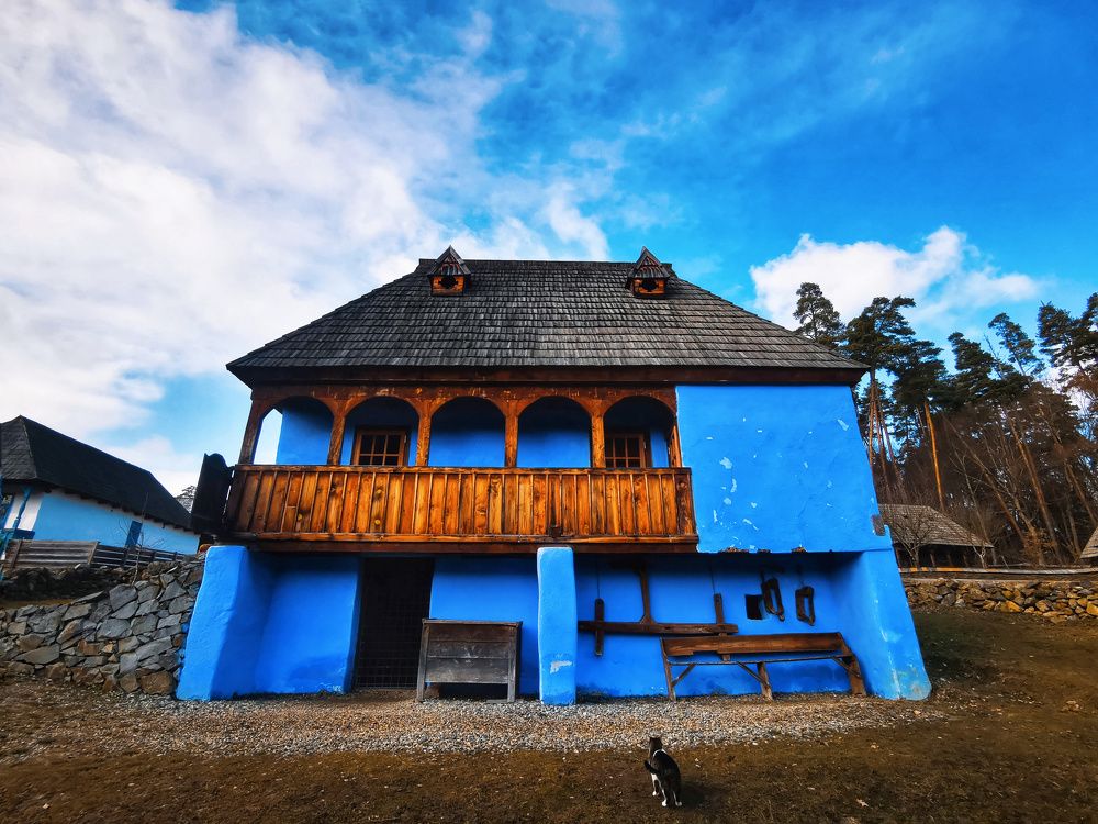 Photograph by Sarageaua Cristina