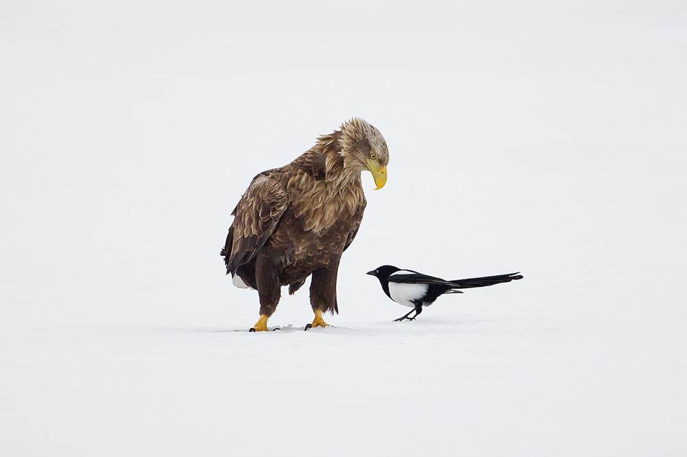 Photograph by Vyacheslav Lozhkin