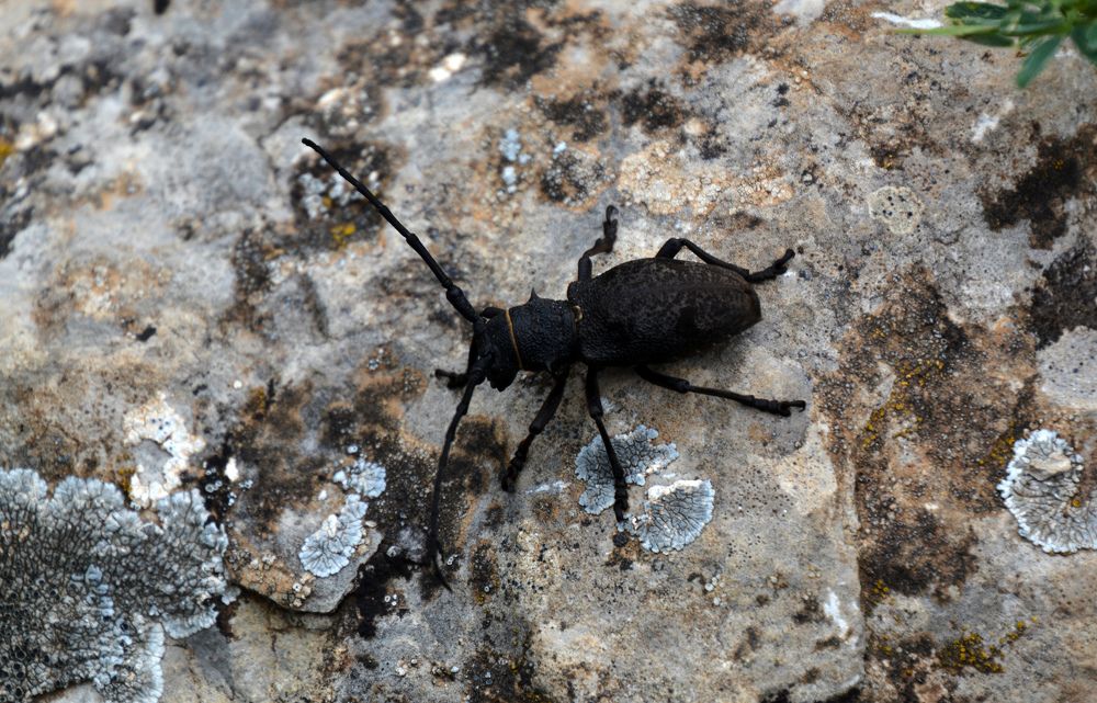 Photograph by Екатерина Крючкова