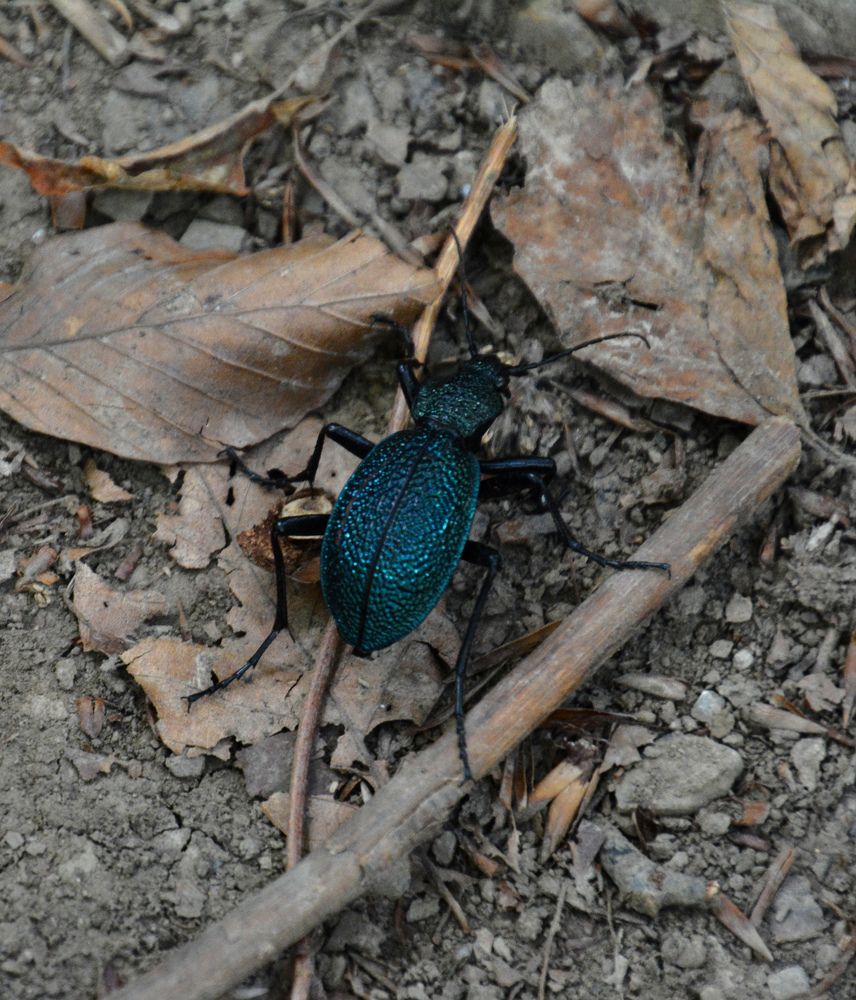 Photograph by Екатерина Крючкова