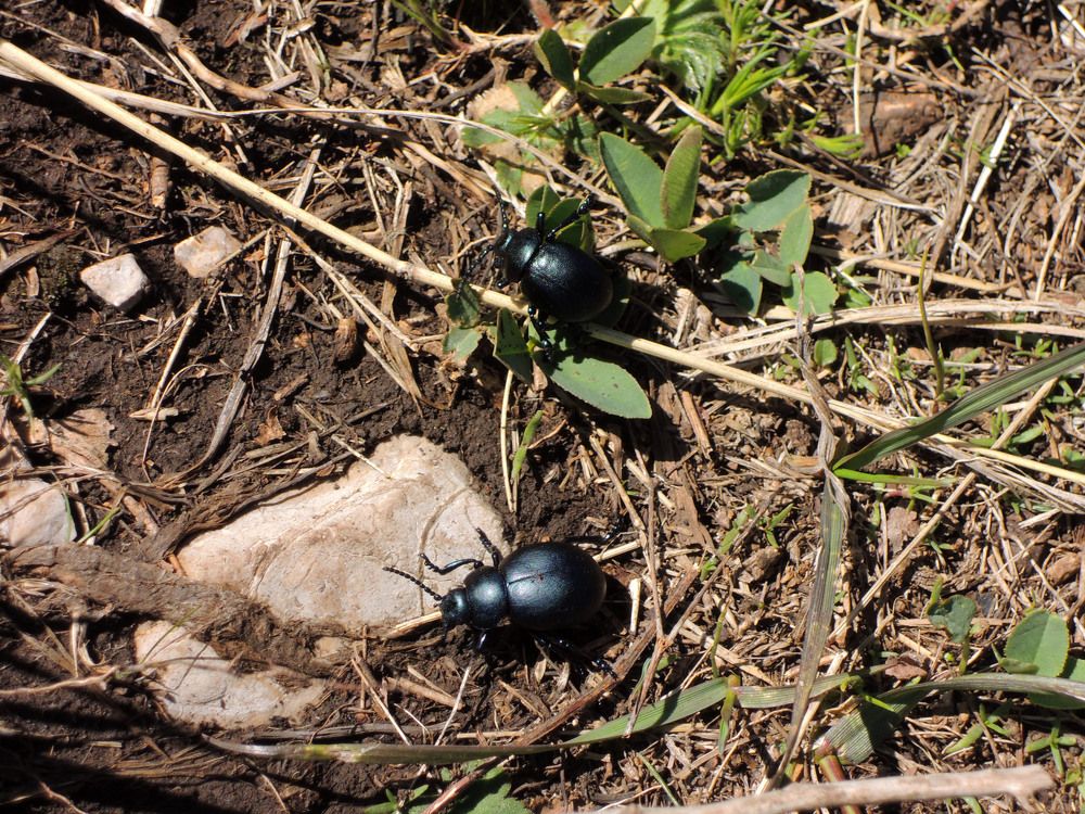 Photograph by Екатерина Крючкова