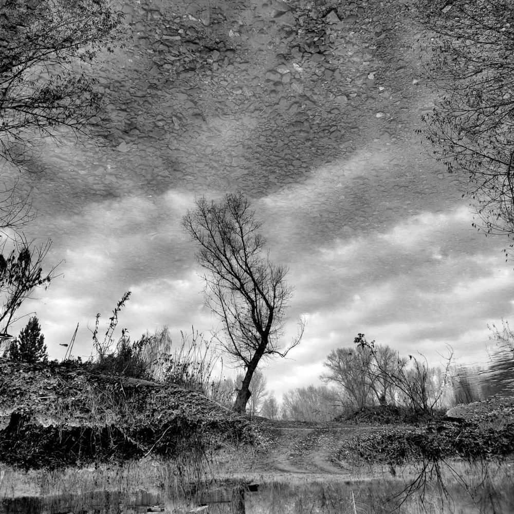 Photograph by Ирина Яук