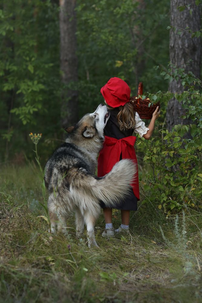 Фотография автора Марина Степанова