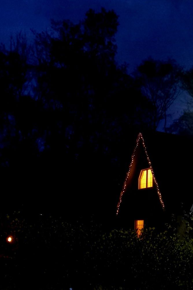 Photograph by Ольга