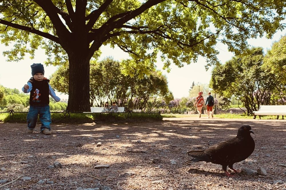 Photograph by Анна