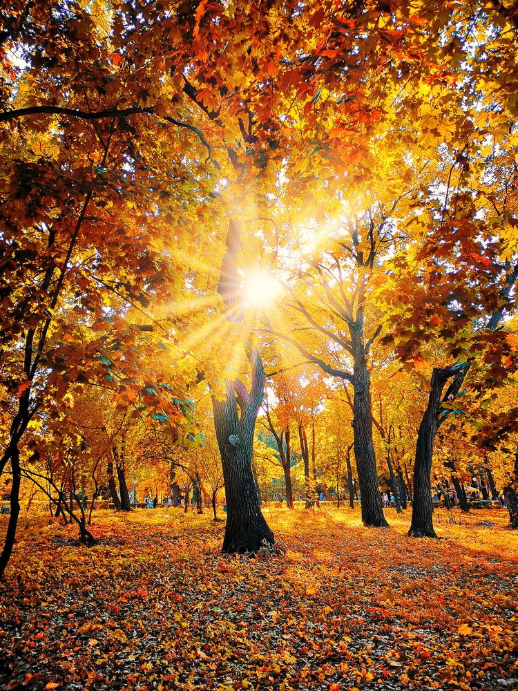 Photograph by Дмитрий Чуркин