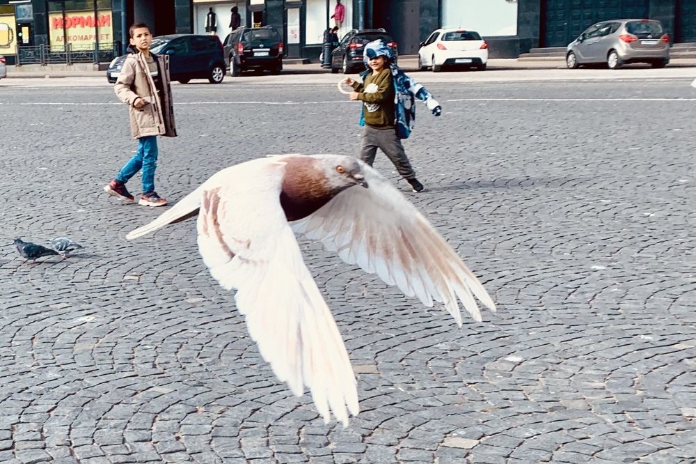 Photograph by Анна