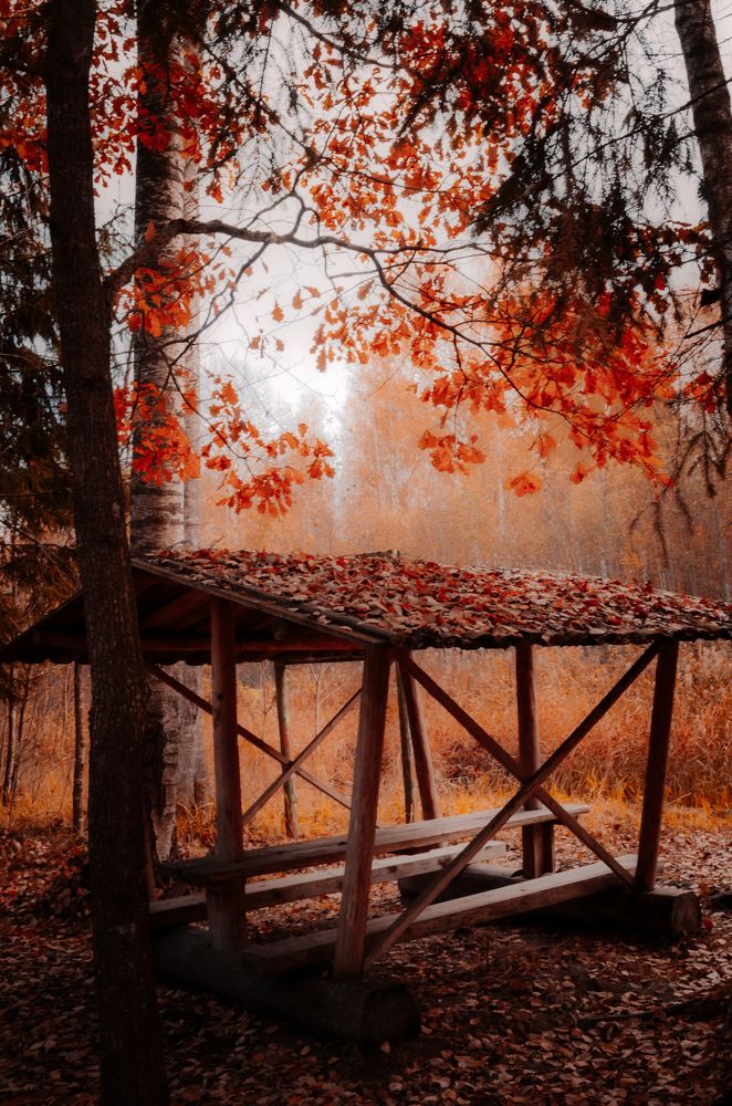 Photograph by Сергей