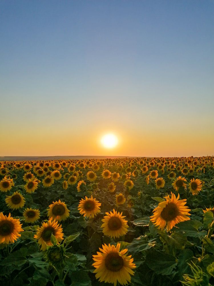 Photograph by Yana Shurupova