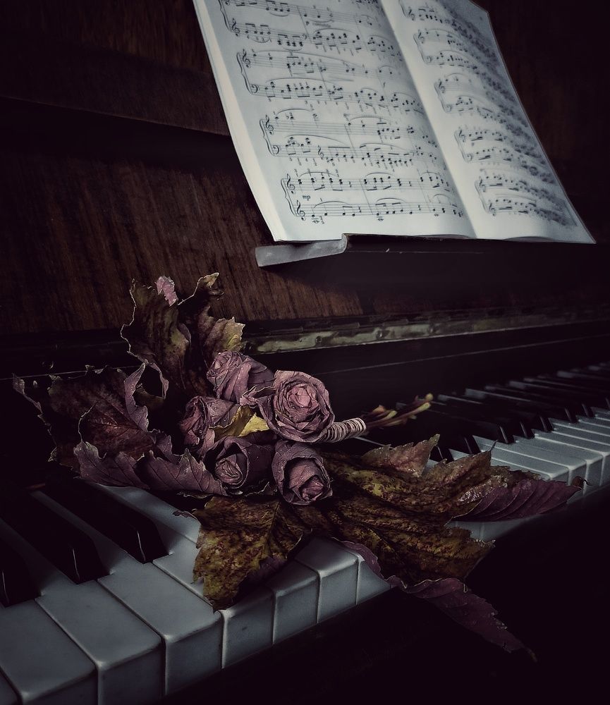 Photograph by Ольга Мартьянова