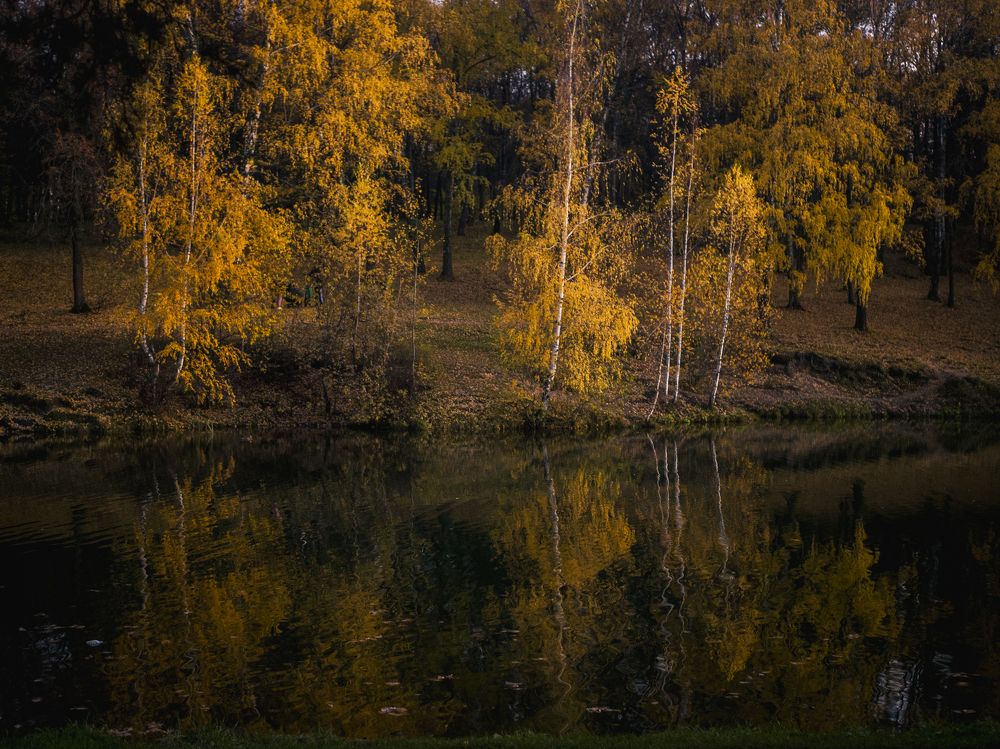 Photograph by Вера Рябинина