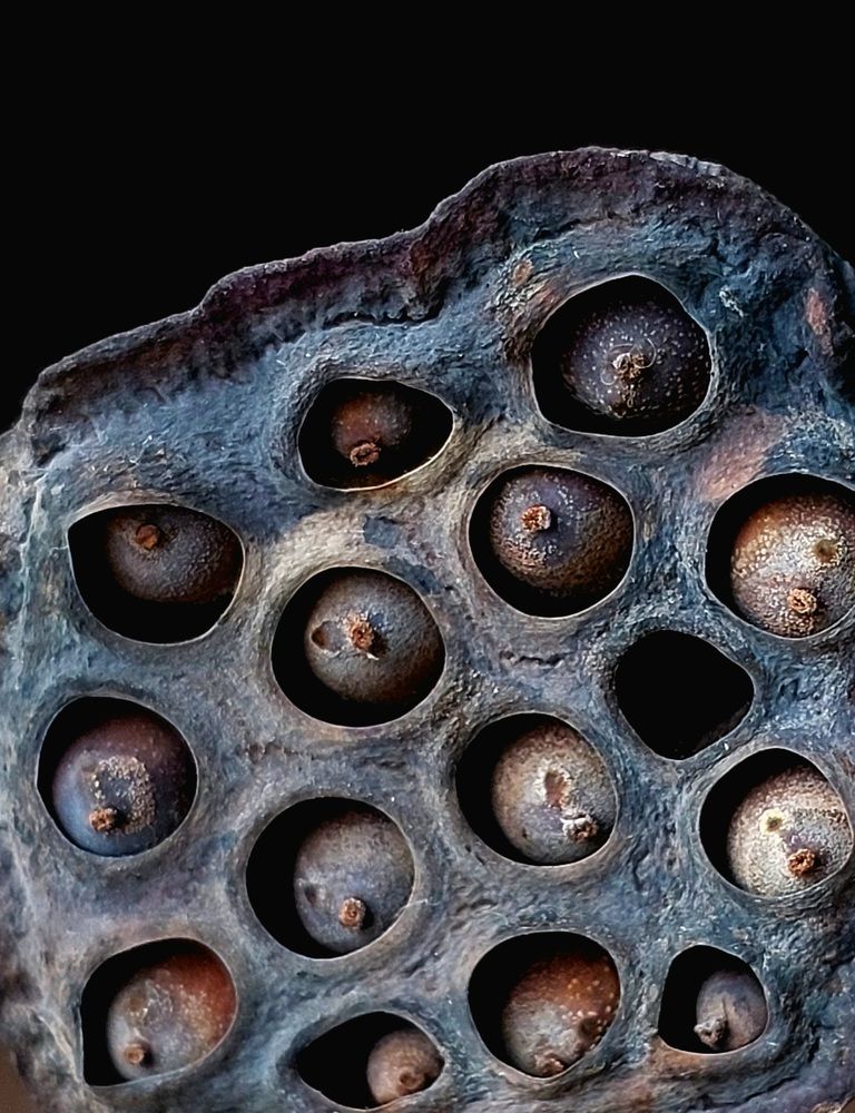 Photograph by Ольга