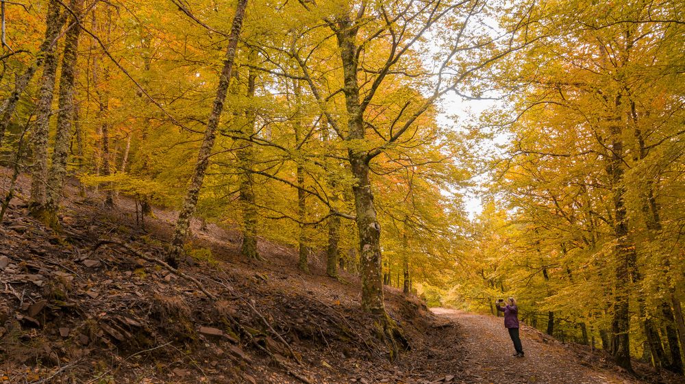 Photograph by Luis Pais