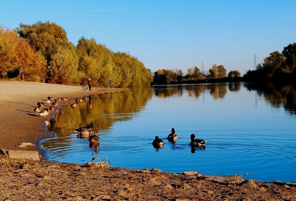 Photograph by Irina Dali