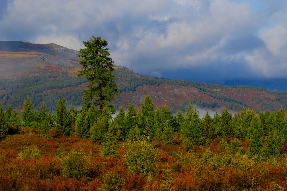Photograph by Татьяна Нурхайдарова