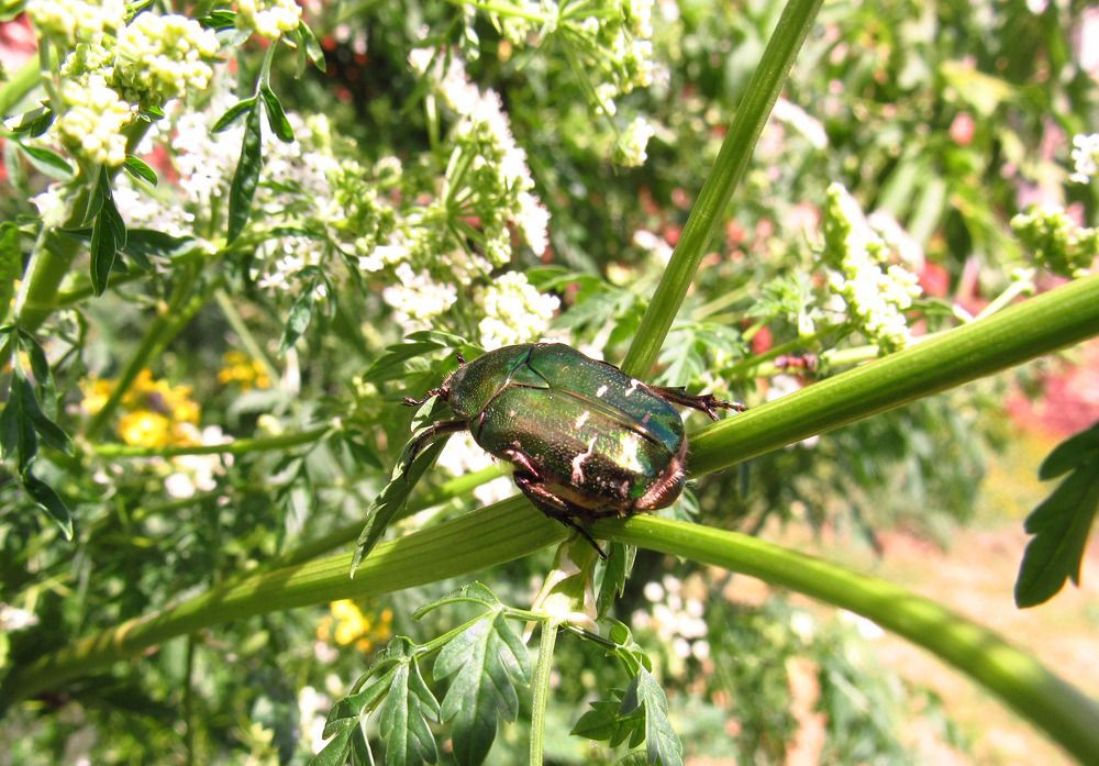 Photograph by Денис Веску