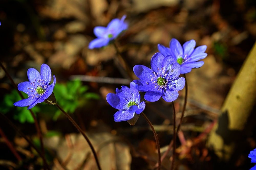 Photograph by Андрей Москалев