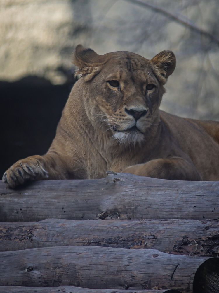 Photograph by Денис Бочаров