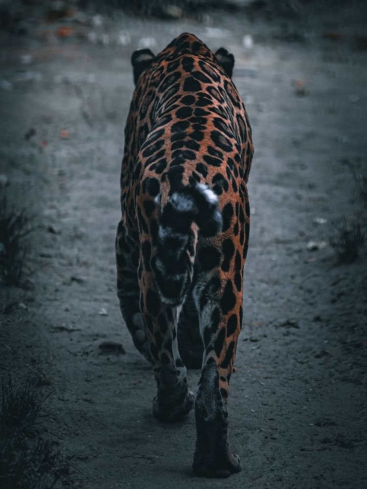 Photograph by Денис Бочаров